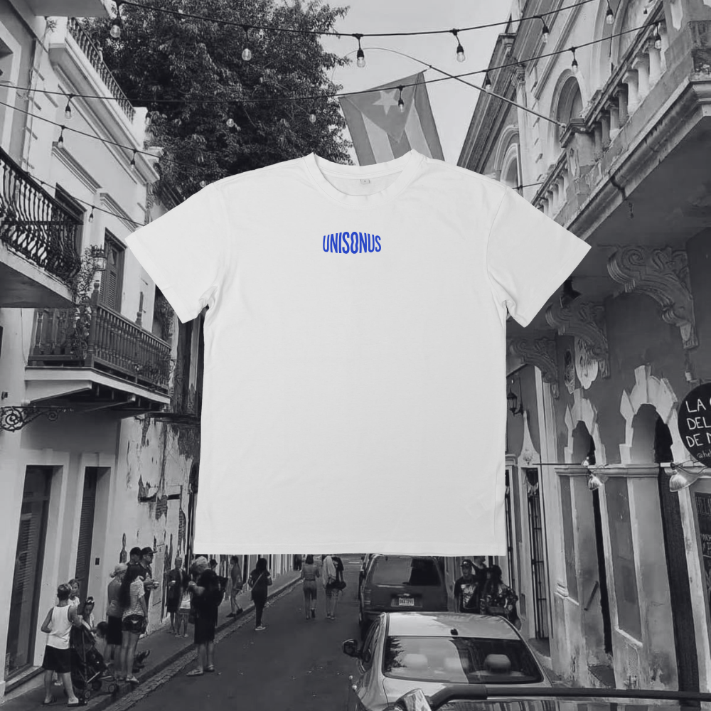 T-Shirt Unisex - DtMF Bad Bunny