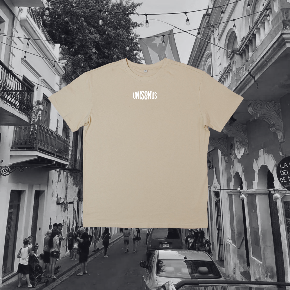 T-Shirt Unisex - DtMF Bad Bunny